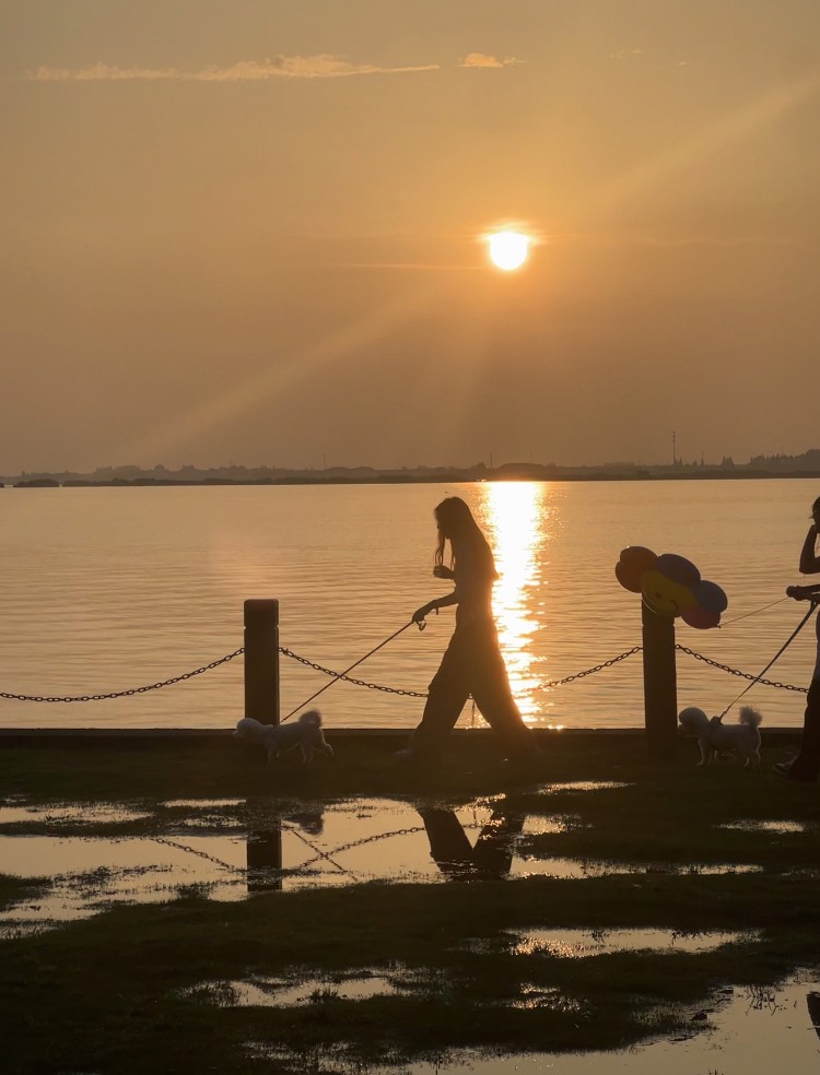 A person walking dogs beside a lake at sunset